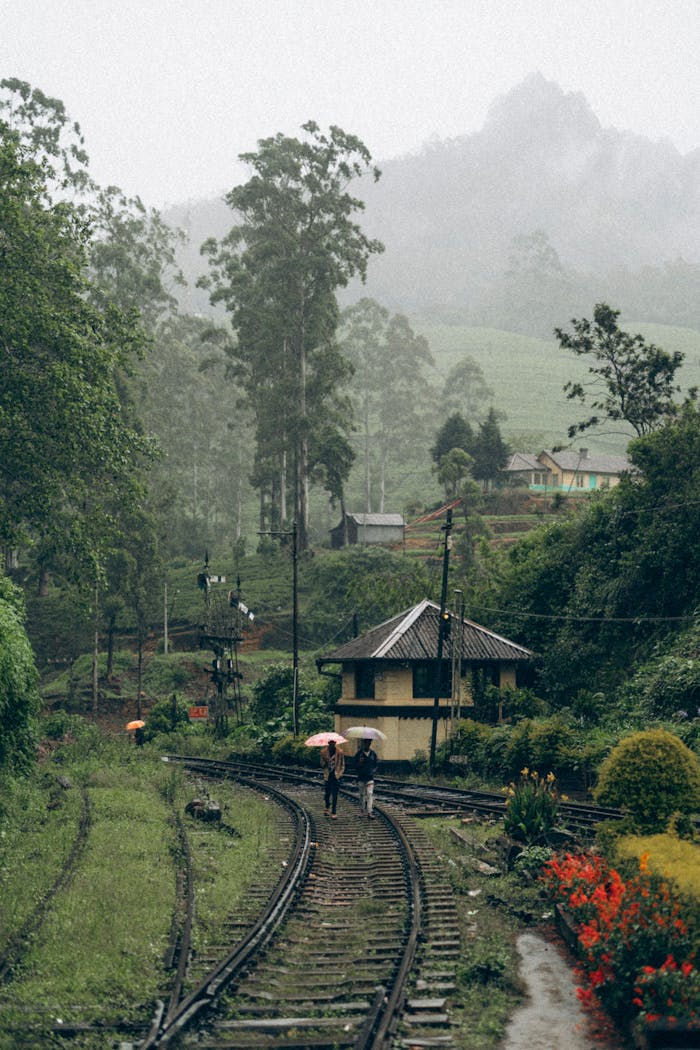 Misty railway scene in Sri Lanka surrounded by lush greenery and tea plantations.